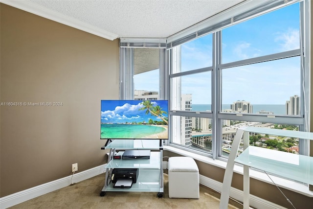 interior space featuring ornamental molding, a textured ceiling, carpet flooring, and a water view