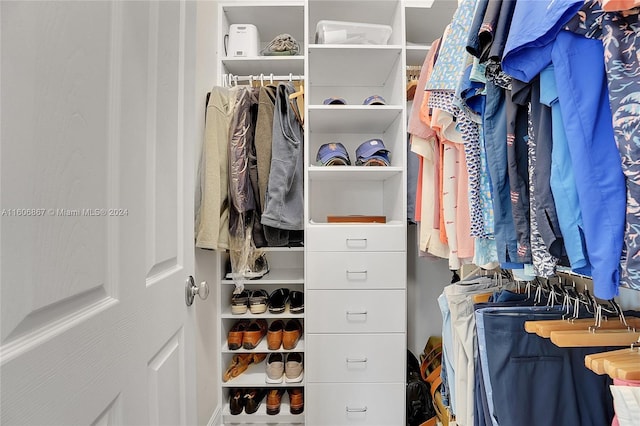 view of spacious closet