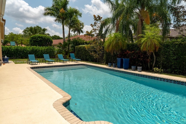 view of swimming pool with a patio