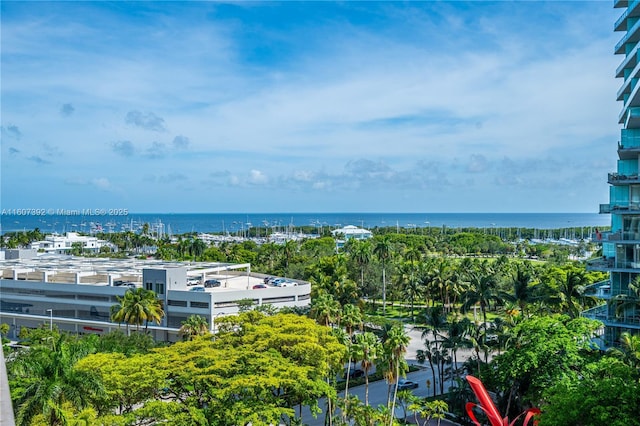 bird's eye view featuring a water view