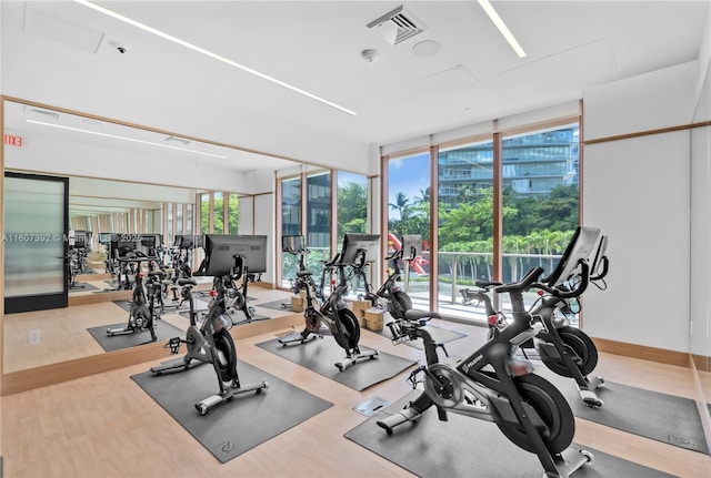 gym with expansive windows and light hardwood / wood-style floors