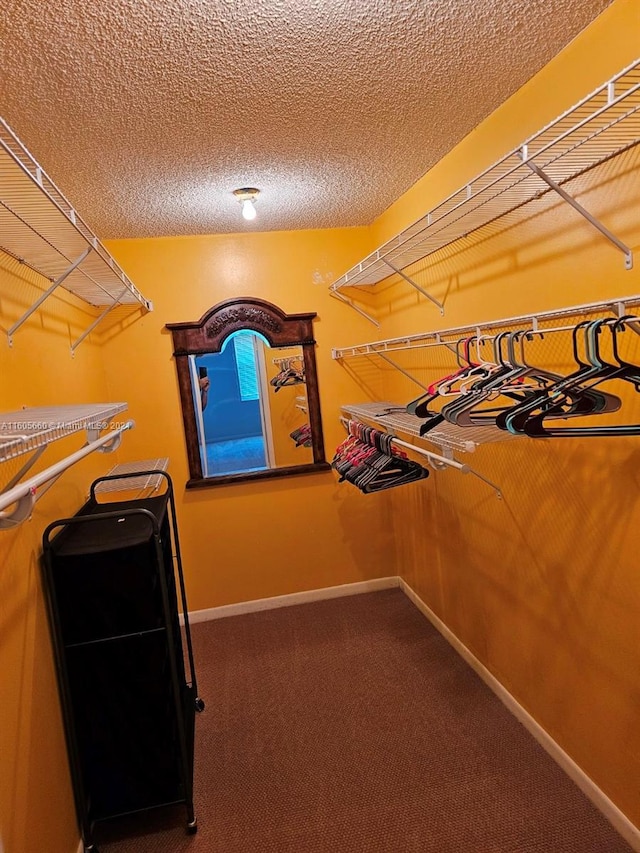 walk in closet featuring carpet