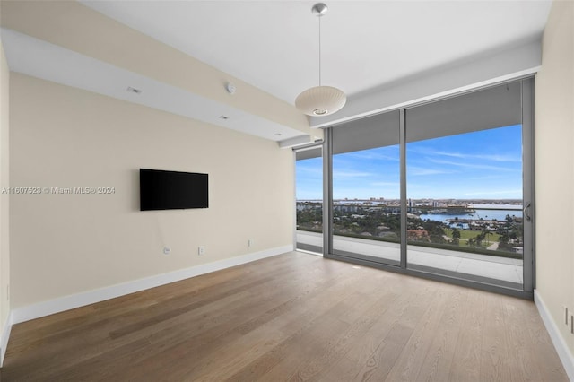 empty room featuring hardwood / wood-style flooring and a wall of windows