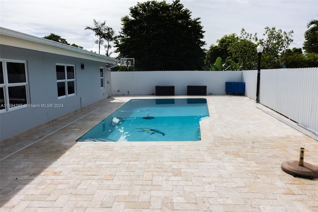 view of swimming pool with a patio area