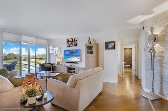 living room with wood-type flooring