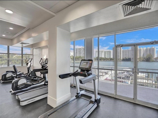 workout area with a water view and a healthy amount of sunlight