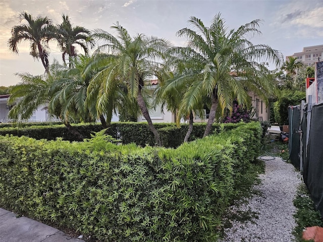 view of yard at dusk