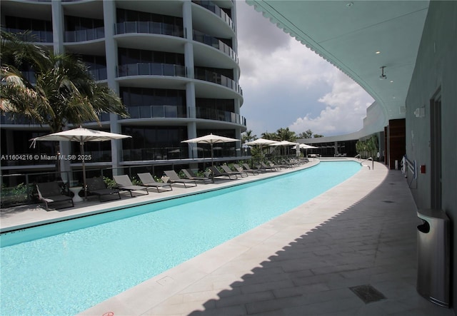 view of swimming pool