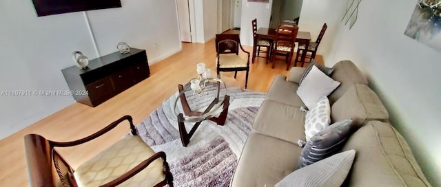 living room with light hardwood / wood-style floors