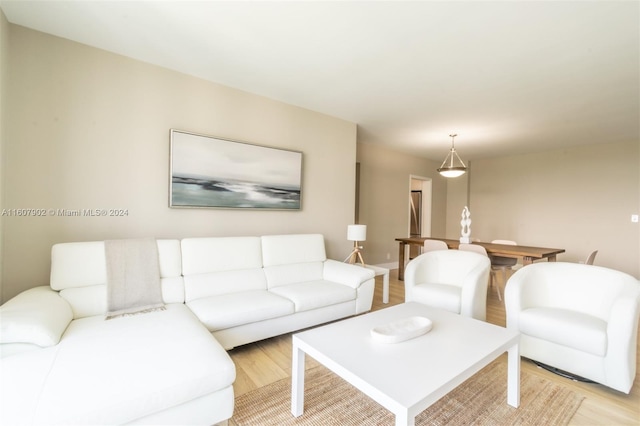 living room featuring light hardwood / wood-style flooring