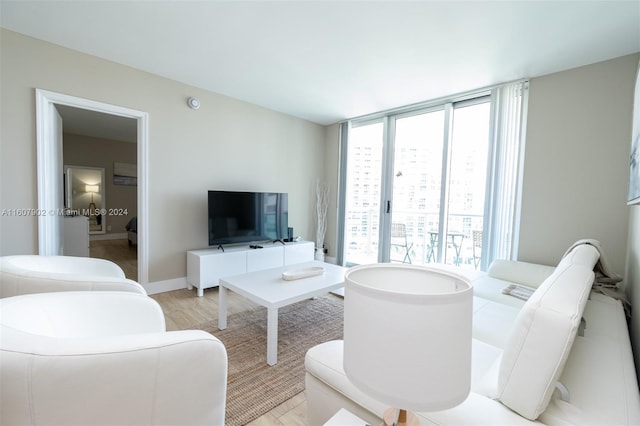 living room featuring light hardwood / wood-style floors