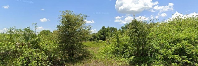 3000 E 18th St, Lehigh Acres FL, 33972 land for sale