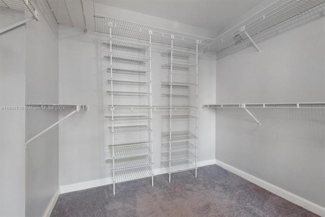 spacious closet featuring carpet floors