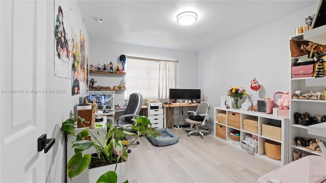 office area featuring light hardwood / wood-style flooring