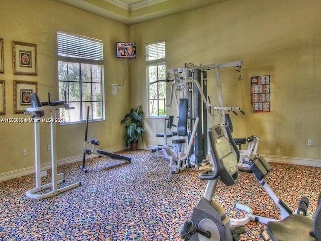 workout area featuring plenty of natural light, crown molding, and a high ceiling