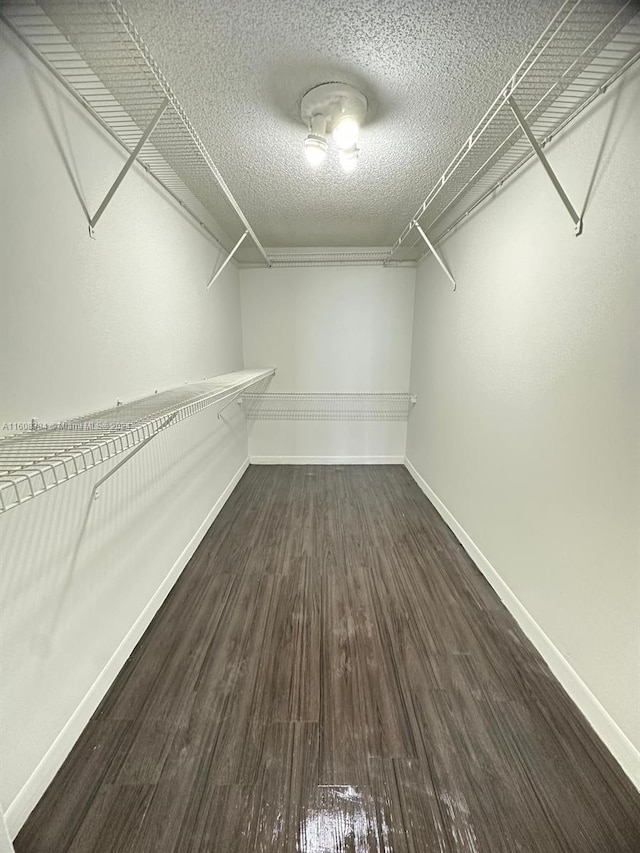 walk in closet featuring dark hardwood / wood-style floors