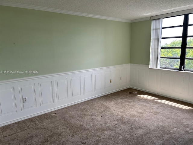 carpeted spare room with a wealth of natural light, crown molding, and a textured ceiling