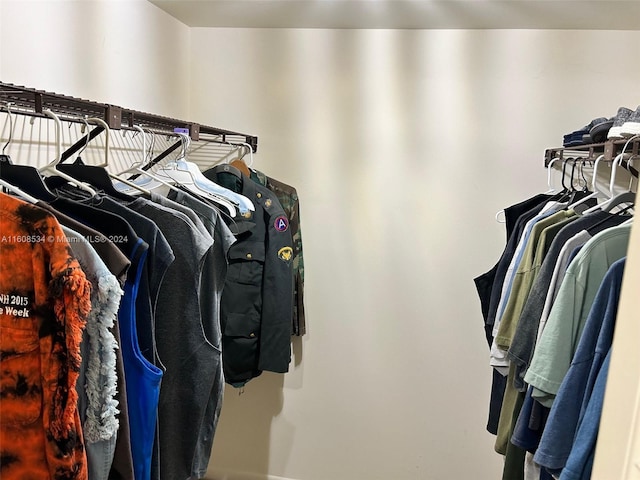 view of walk in closet