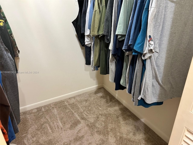 spacious closet with carpet