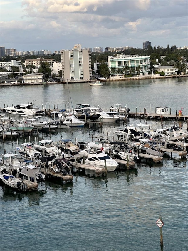 property view of water with a dock