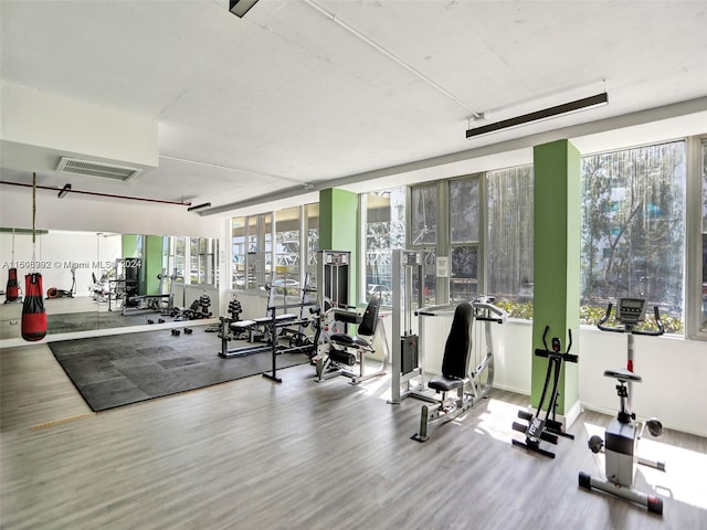 exercise room featuring hardwood / wood-style flooring