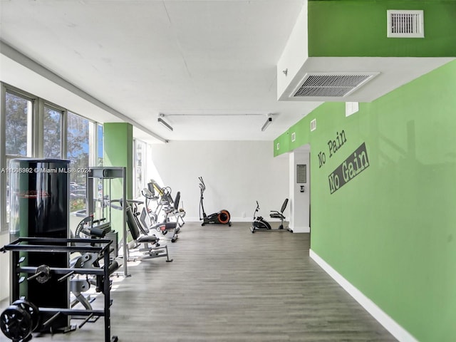 gym featuring hardwood / wood-style floors