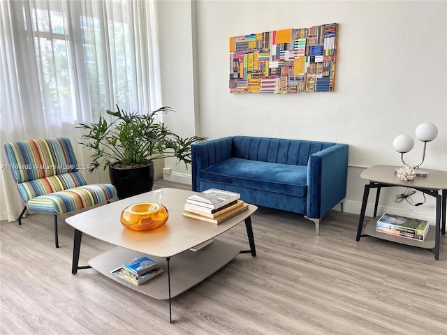 living room with hardwood / wood-style floors