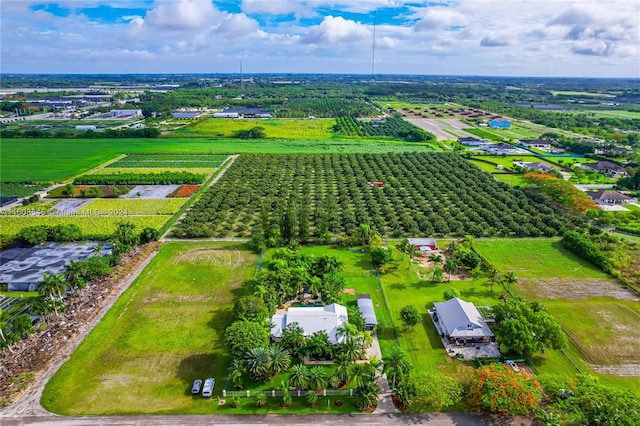 view of bird's eye view