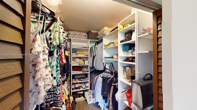 spacious closet featuring dark wood-type flooring