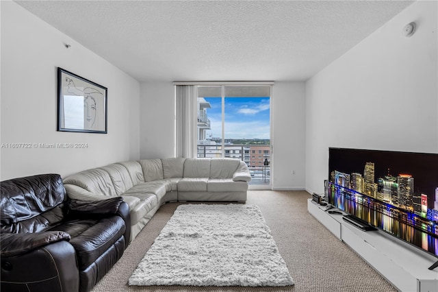 carpeted living room with a textured ceiling