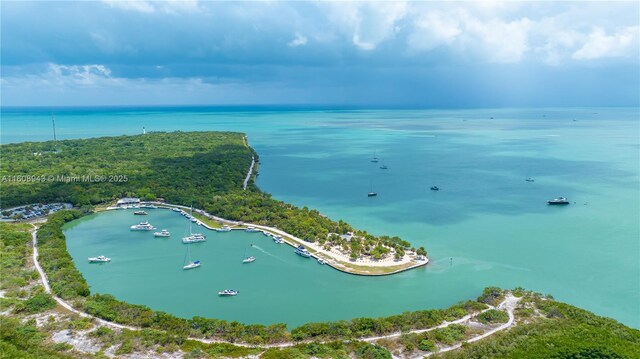 241 Cape Florida Dr, Key Biscayne, FL 33149 - photo 91