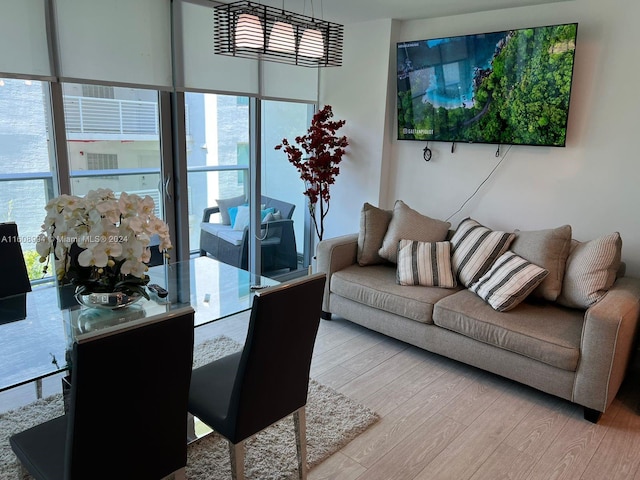 living room with light hardwood / wood-style floors