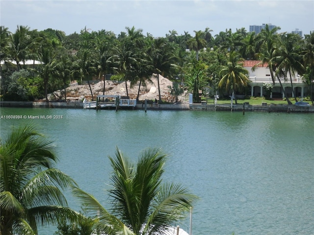 view of water feature