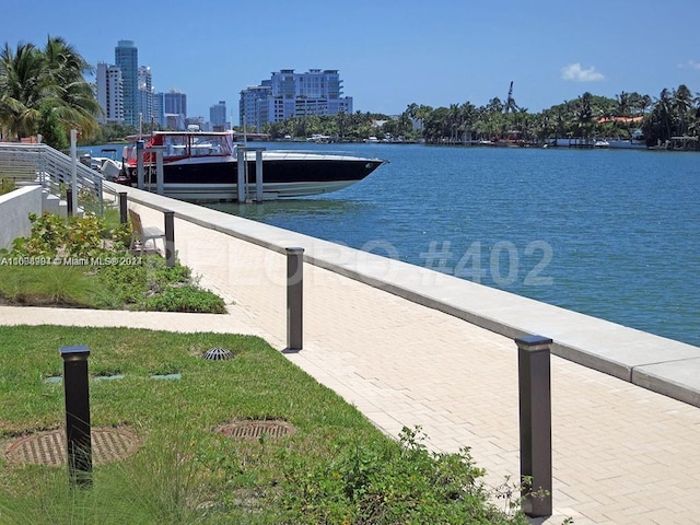 dock area with a water view