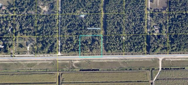 305 Yeehaw Ave, Pioneer, Clewiston FL, 33440 land for sale