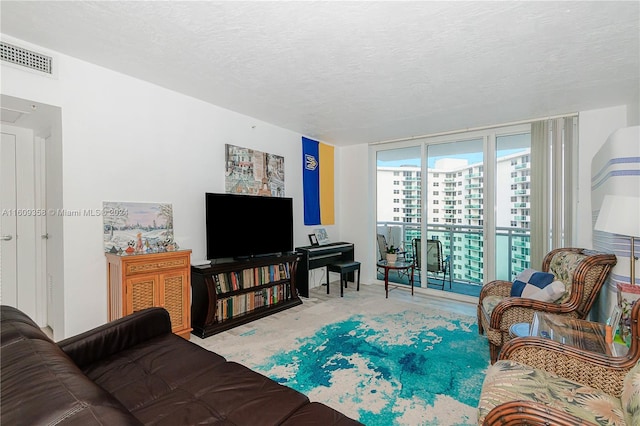 living room with a textured ceiling