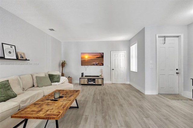 living room with light hardwood / wood-style flooring