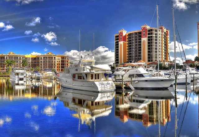 dock area with a water view