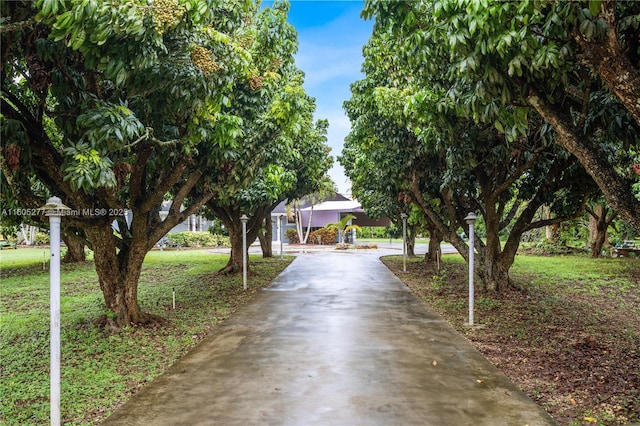 view of property's community featuring a yard