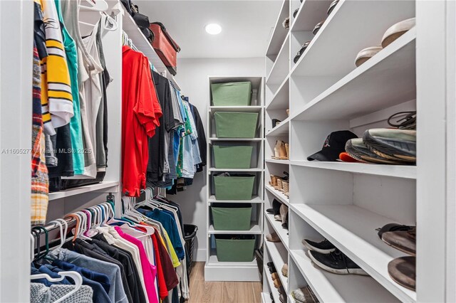 walk in closet with hardwood / wood-style flooring