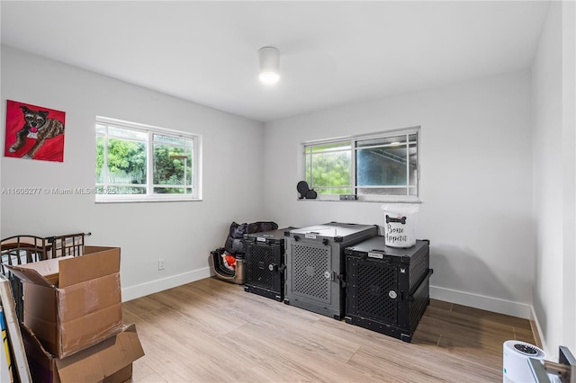 office space featuring a wealth of natural light and light hardwood / wood-style flooring