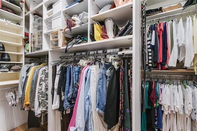 view of walk in closet