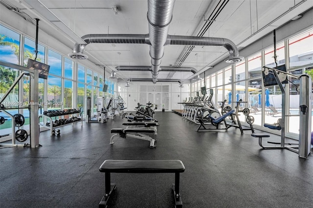 workout area with plenty of natural light