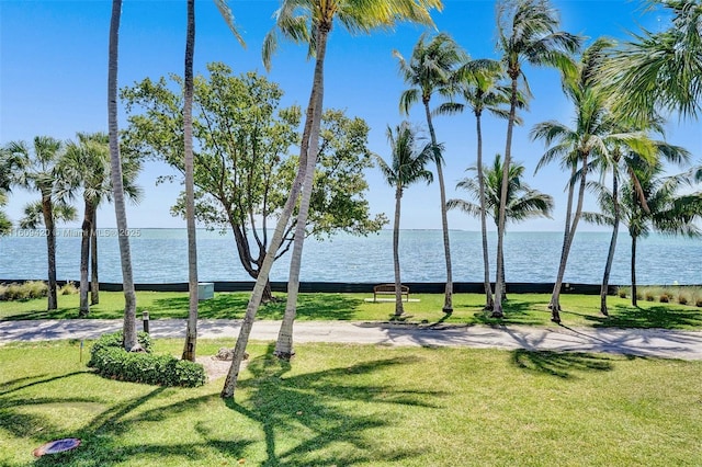 3 Grove Isle Dr Unit C710, Miami, FL 33133 - photo 47
