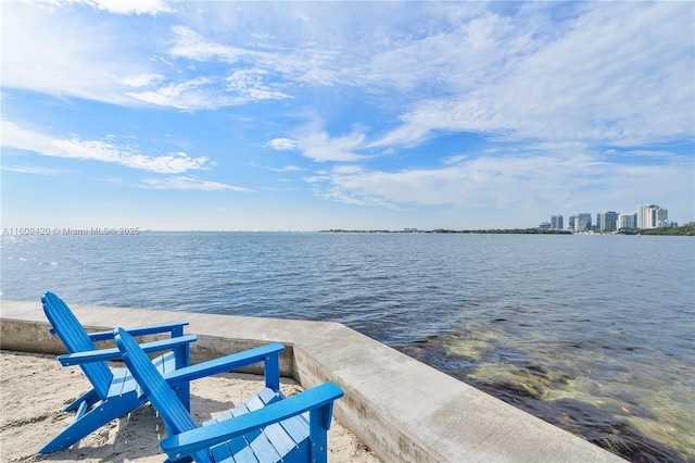 3 Grove Isle Dr Unit C710, Miami, FL 33133 - photo 50