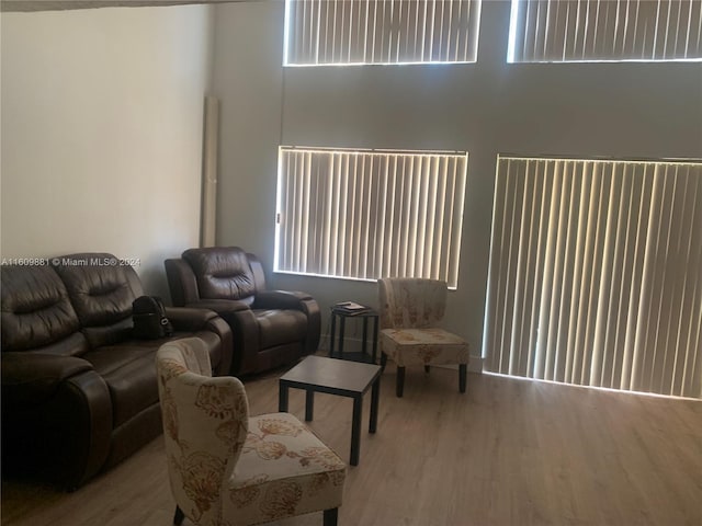 living room with light hardwood / wood-style flooring