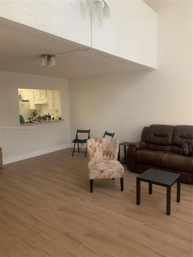 living room featuring hardwood / wood-style flooring