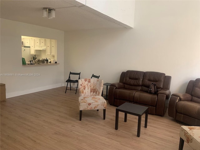 living room featuring light wood-type flooring