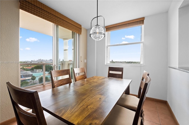 tiled dining space with a wealth of natural light