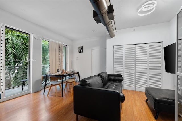 living room with light hardwood / wood-style floors and a wealth of natural light